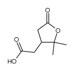 5,5-dimethyltetrahydro-2-oxofuran-4-ylacetic acid, Structure