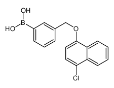 [3-[(4-chloronaphthalen-1-yl)oxymethyl]phenyl]boronic acid Structure