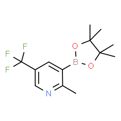 2-甲基-3-(4,4,5,5-四甲基-1,3,2-二氧硼杂环戊烷-2-基)-5-(三氟甲基)吡啶结构式