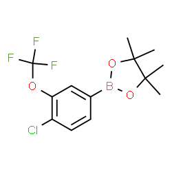 4-Chloro-3-(trifluoromethoxy)phenylboronic acid pinacol ester Structure