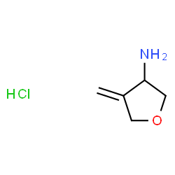 4-methylideneoxolan-3-aminehydrochloride Structure