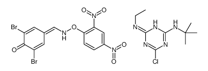 2-N-tert-butyl-6-chloro-4-N-ethyl-1,3,5-triazine-2,4-diamine,2,6-dibromo-4-[[(2,4-dinitrophenoxy)amino]methylidene]cyclohexa-2,5-dien-1-one Structure