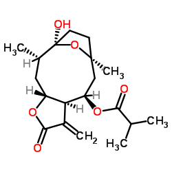 tirotundin structure
