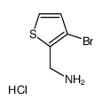 (3-Bromothiophen-2-yl)methanaminehydrochloride Structure