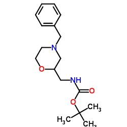 叔-丁基 ((4-苯甲基吗啉-2-基)甲基)氨基甲酯结构式
