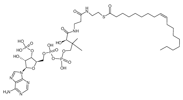 油酰辅酶A结构式