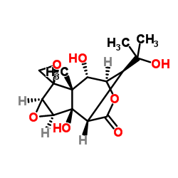 isohyenanchin Structure