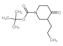 1-BOC-3-PROPYL-PIPERIDIN-4-ONE Structure