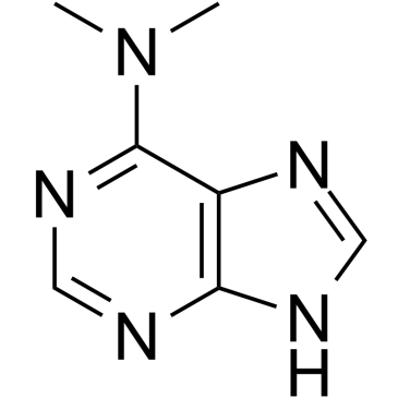 N6,N6-dimethyladenine Structure