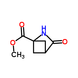 2-Azabicyclo[2.1.1]hexane-1-carboxylicacid,3-oxo-,methylester(9CI) Structure