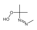 2-METHYLAZO-2-PROPYLHYDROPEROXIDE Structure