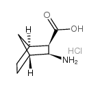 diexo-3-氨基双环[2.2.1]庚烷-2-羧酸盐酸盐结构式