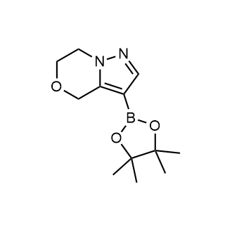 3-(4,4,5,5-四甲基-1,3,2-二噁硼烷-2-基)-6,7-二氢-4H-吡唑并[5,1-c][1,4]噁嗪结构式