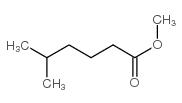 5-甲基己酸甲酯结构式