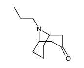 9-AZABICYCLO[3.3.1]NONAN-3-ONE, 9-PROPYL- Structure