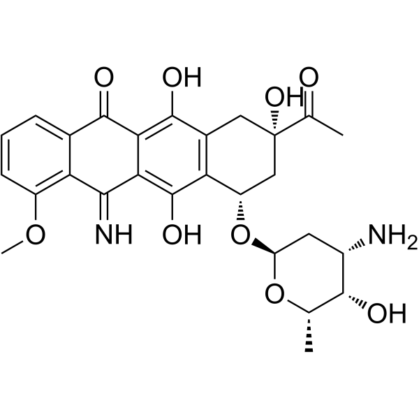 5-亚氨基柔红霉素结构式