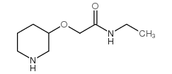 N-乙基-2-(3-哌啶氧基)乙酰胺结构式