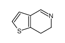 6,7-Dihydrothieno[3,2-C]-pyridine结构式