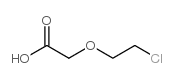 2-(2-Chloroethoxy)acetic acid Structure