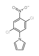 1-(2,5-二氯-4-硝基苯基)-1H-吡咯结构式