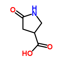 5-Oxo-3-pyrrolidinecarboxylic acid Structure