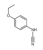 (4-ethoxyphenyl)cyanamide Structure