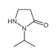 3-Pyrazolidinone,2-(1-methylethyl)-(9CI)结构式