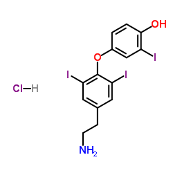 4-[4-(2-Aminoethyl)-2,6-diiodophenoxy]-2-iodophenol hydrochloride (1:1)结构式