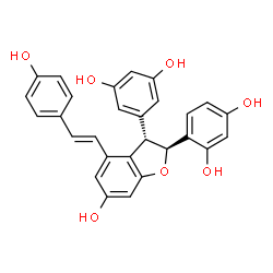Gnetin D Structure