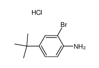 2-bromo-4-tert-butyl-aniline, hydrochloride Structure