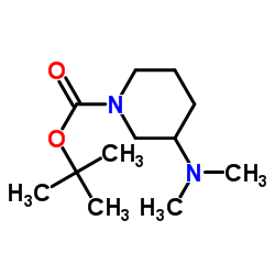 N-Boc-3-二甲基氨基哌啶结构式