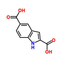 1H-吲哚-2,5-二羧酸结构式