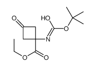 ethyl 1-(tert-butoxycarbonylamino)-3-oxo-cyclobutanecarboxylate Structure