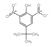 4-叔丁基-2,6-二硝基苯酚结构式