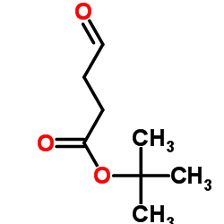 4-氧代丁酸叔丁酯结构式