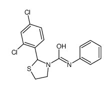 2-(2,4-dichlorophenyl)-N-phenyl-1,3-thiazolidine-3-carboxamide结构式