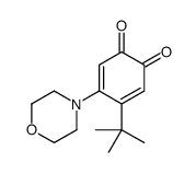 4-tert-butyl-5-morpholin-4-ylcyclohexa-3,5-diene-1,2-dione结构式