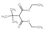 Propanedioic acid,2-(1,1-dimethylethyl)-, 1,3-diethyl ester Structure