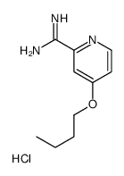 4-butoxypyridine-2-carboximidamide,hydrochloride Structure