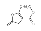 3-Furancarboxylicacid,4,5-dihydro-2-methyl-5-methylene-,methylester(9CI)结构式