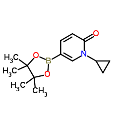 1-环丙基-6-氧代-1,6-二氢吡啶-3-硼酸频哪醇酯结构式