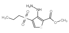 3-肼基-4-(丙基磺酰基)噻吩-2-羧酸甲酯结构式