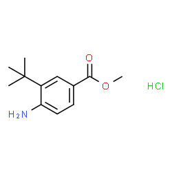 4-氨基-3-(叔丁基)苯甲酸甲酯盐酸盐结构式
