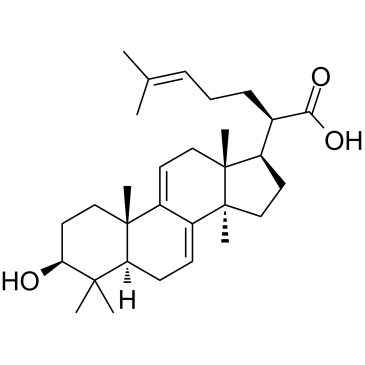 Dehydrotrametenolic acid structure