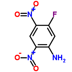 2,4-二硝基-5-氟苯胺结构式