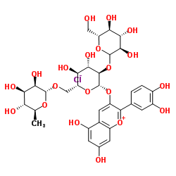 矢车菊-3-O-2G-葡萄糖芸香糖苷图片