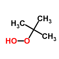 tert-Butyl Hydroperoxide structure