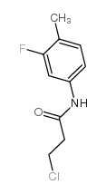 3-chloro-N-(3-fluoro-4-methylphenyl)propanamide Structure