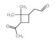 Cyclobutaneacetaldehyde, 3-acetyl-2,2-dimethyl- Structure