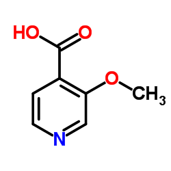 3-Methoxyisonicotinic acid structure